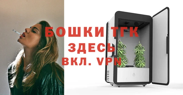 СК Богородицк