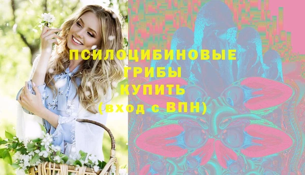 2c-b Богданович