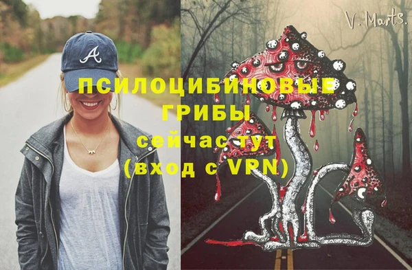 СК Богородицк
