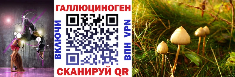 Купить  Новая Ляля  Галлюциногенные грибы мицелий 